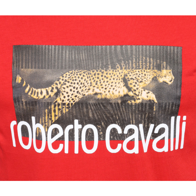 ROBERTO CAVALLI 売れ筋商品|||ロベルトカヴァリ Tシャツ トップス レディース T-shirts Red ROBERTO CAVALLI T-SHIRT - RED - COTTON