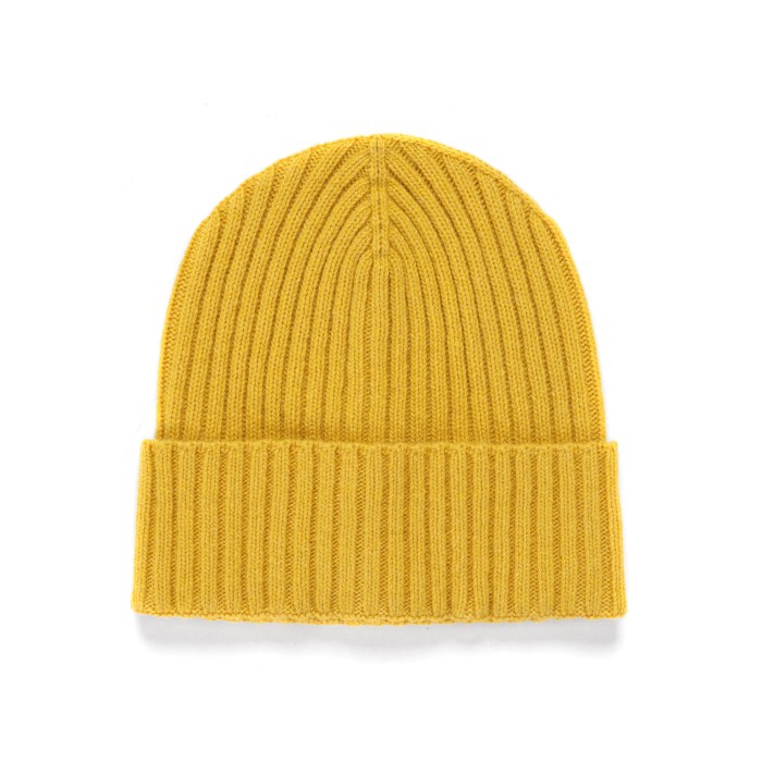 Ezzelino cashmere beanie
