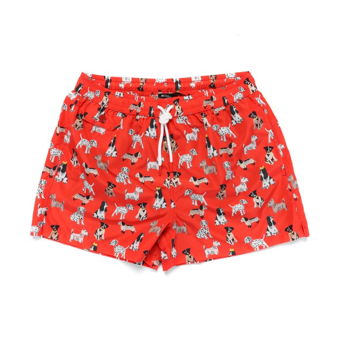 Kiton swim shorts