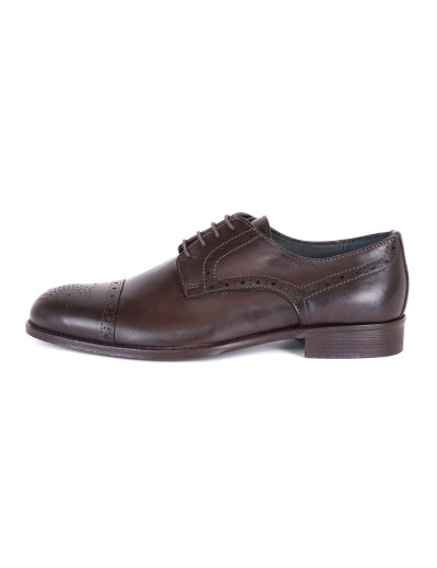 POLLINI BROGUE SHOES - CALFSKIN - DARK BROWN